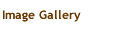 image gallery button